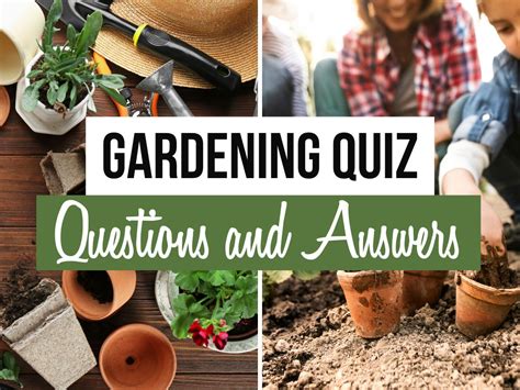 Gardening Trivia Questions and Answers: Exploring the Green World Beyond Logic