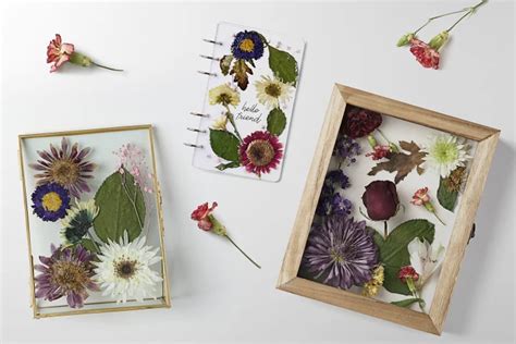 How to Keep Dried Flowers: A Symphony of Preservation and Whimsy