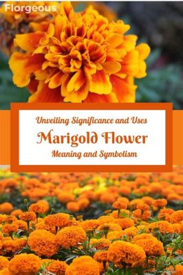 What Do Marigold Flowers Symbolize? Exploring the Mystical and Mundane