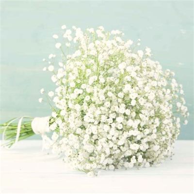 Where to Buy Baby's Breath Flowers: A Whimsical Exploration of Floral Markets and Beyond