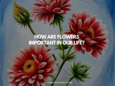 Why Are Flowers Important: A Symphony of Colors in the Chaos of Life