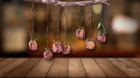 Why Do People Hang Flowers Upside Down: A Whimsical Exploration of Gravity-Defying Traditions